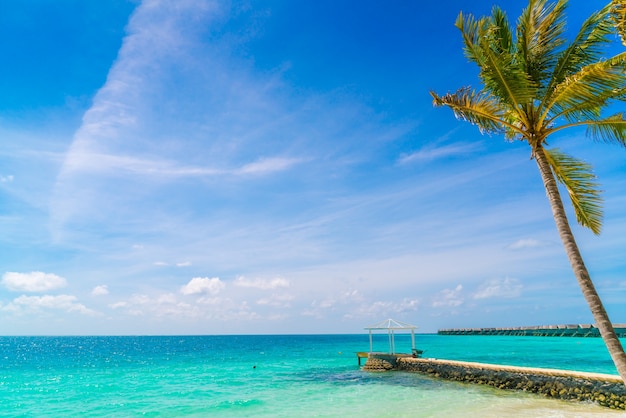 Foto gratuita bella isola tropicale delle maldive, spiaggia di sabbia bianca e mare con palme intorno