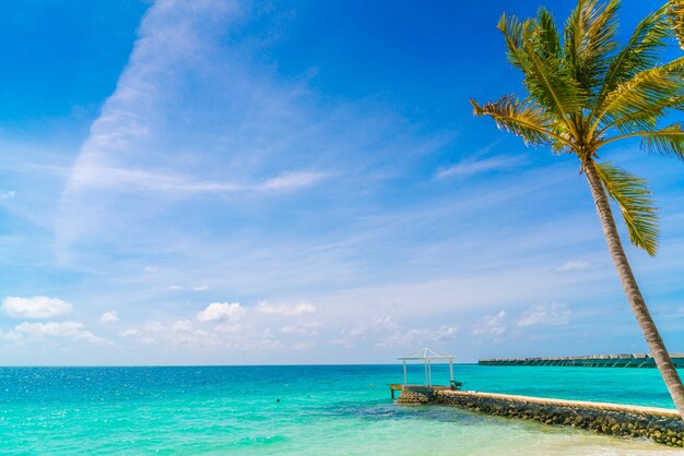 Красивый тропический остров Мальдивы, белый песчаный пляж и море с пальмами вокруг