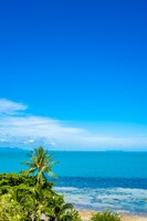 Beautiful tropical sea ocean with coconut palm tree on blue sky white cloud