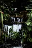 무료 사진 아름다운 열대 폭포