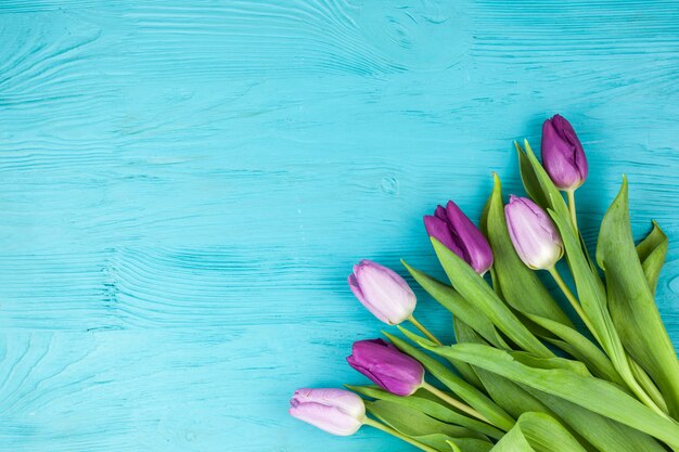 Beautiful tulip flowers bunch on turquoise surface