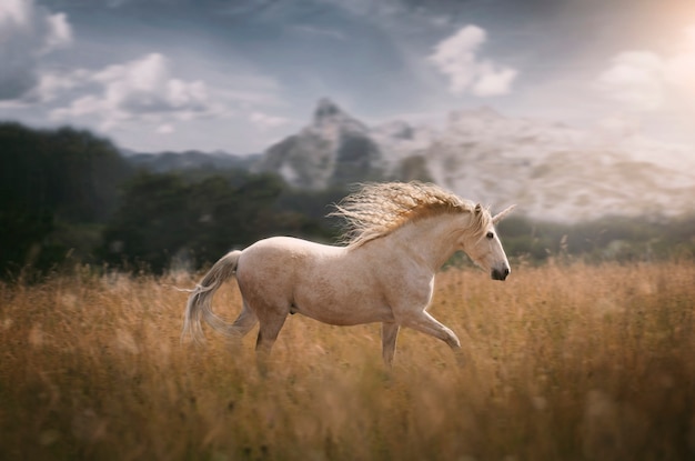 Beautiful unicorn in nature composition
