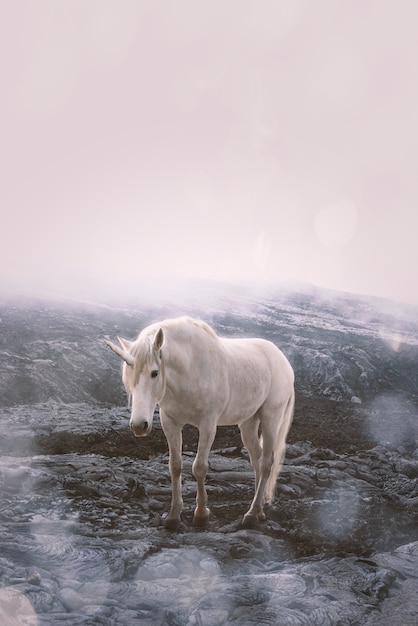 Free photo beautiful unicorn in nature composition