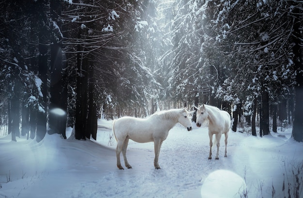 Foto gratuita bellissimo unicorno nella composizione della natura