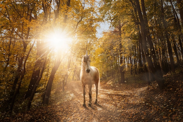 Foto gratuita bellissimo unicorno nella composizione della natura