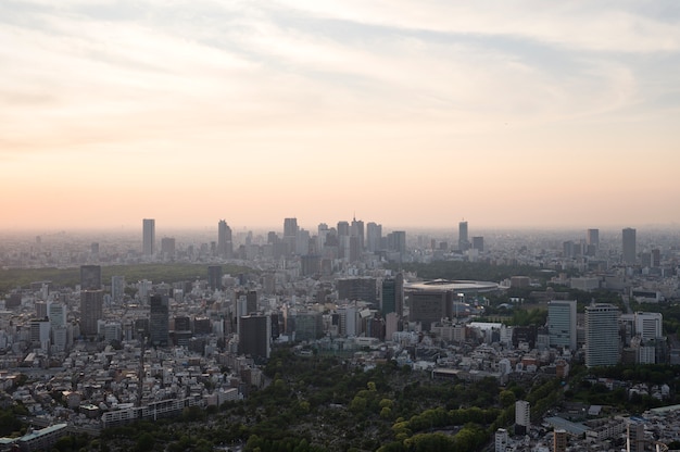 霧のある昼間の美しい都会の景色