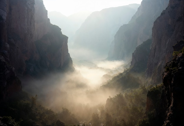 Beautiful various landscape