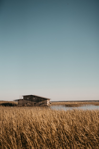 Beautiful vertical shot of a large wheat field with a little wooden barn in the middle