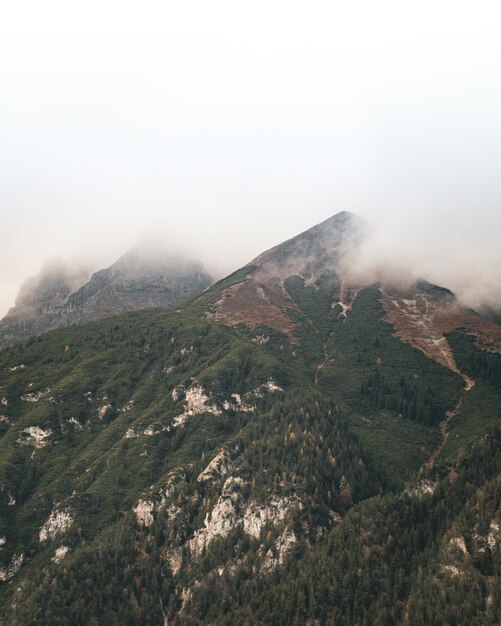Красивый вертикальный снимок вершины, покрытой лесными деревьями и туманом на вершине.