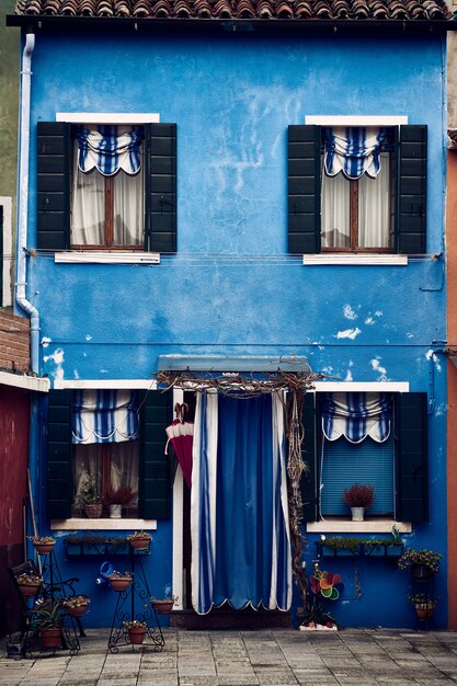 Beautiful vertical symmetric shot of a suburban blue building with plants in pots