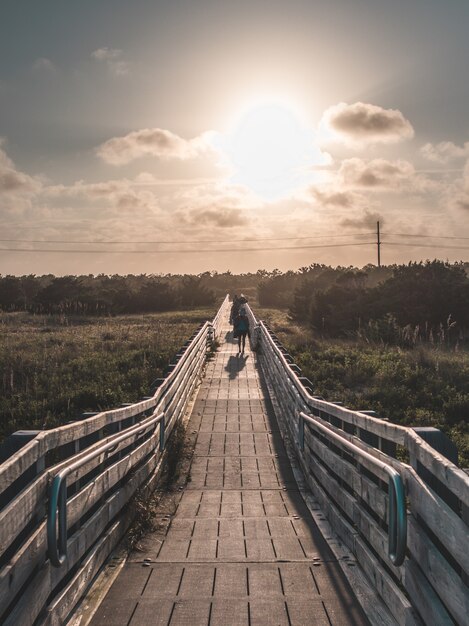 Beautiful vertical symmetric shot of a wooden bridge leading to the beach taken at golden hour