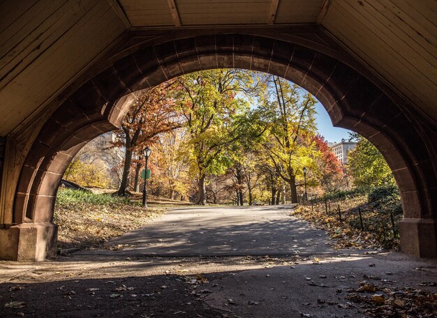 Прекрасный вид на Осенний парк через каменную арку