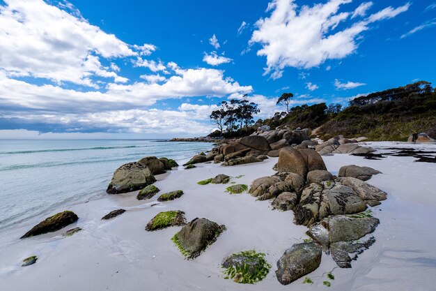 Beautiful view of a beach with clean blue water under a bright sky