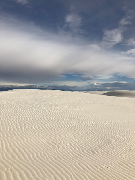 뉴 멕시코의 바람에 씻긴 모래로 덮인 사막의 아름다운 전망
