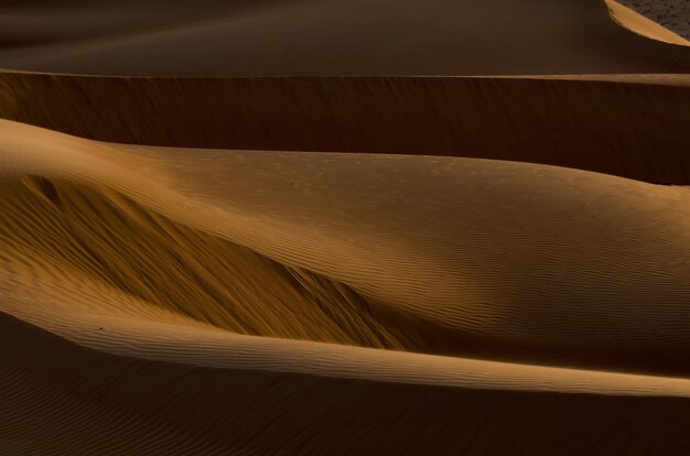 Прекрасный вид на золотисто-коричневые дюны в пустыне