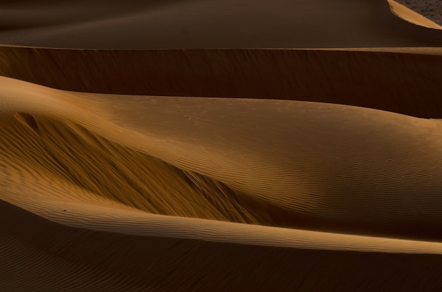 砂漠の黄金色の砂丘の美しい景色