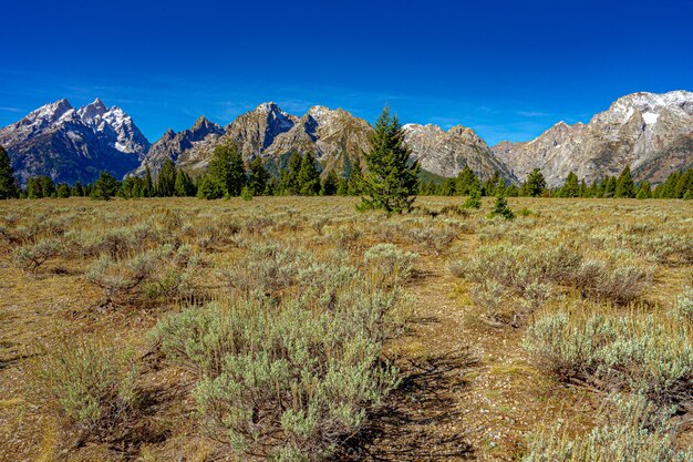 Beautiful view of the Grand Teton mountain in the Grand Teton National Park in the USA