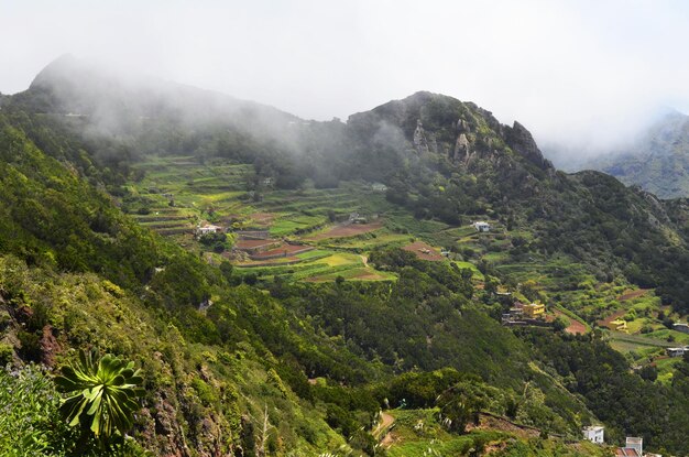 Beautiful view of the green mountains covered with haze