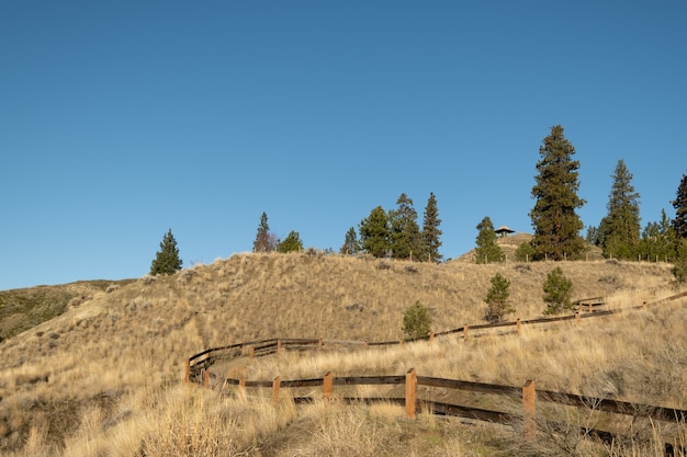 Free photo beautiful view of the green trees behind the wooden fence in the fields full of dried grass