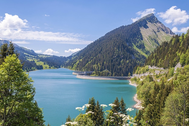 ロングリン湖とダムスイスの山々に囲まれた湖の美しい景色