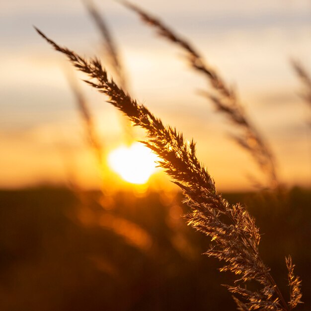 Beautiful view of morning light