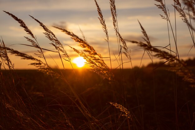 Beautiful view of morning light