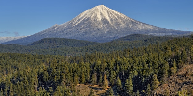 オレゴン州で撮影された木々に覆われた丘の上に雪に覆われたマクラフリン山の美しい景色
