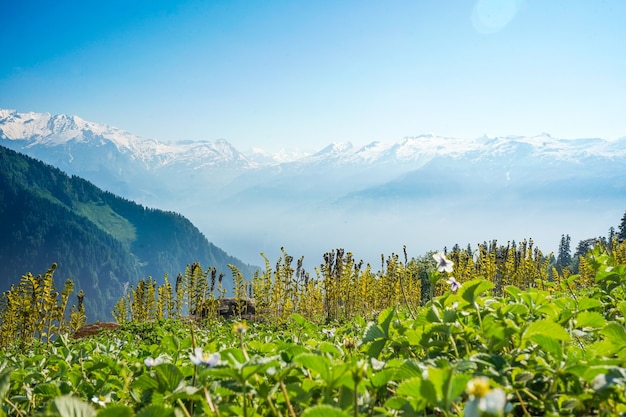 Beautiful view of the mountains on a sunny day