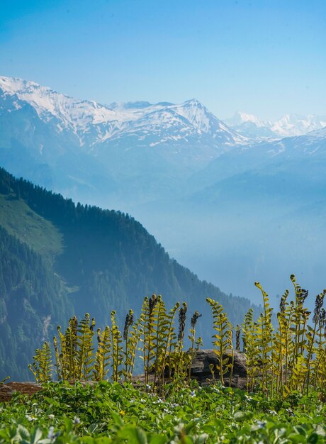 Beautiful view of the mountains on a sunny day