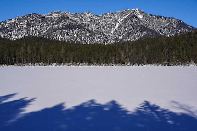 Foto gratuita bella vista sui numerosi abeti con montagne innevate nelle alpi zugspitze