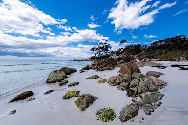Бесплатное фото Прекрасный вид на пляж с чистой голубой водой под ярким небом