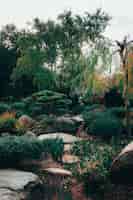 Бесплатное фото Прекрасный вид на завораживающую природу в традиционных японских садах аделаиды химедзи.