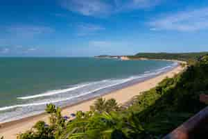 無料写真 ブラジルのピパで撮影された波状の海に覆われた木の美しいビーチ