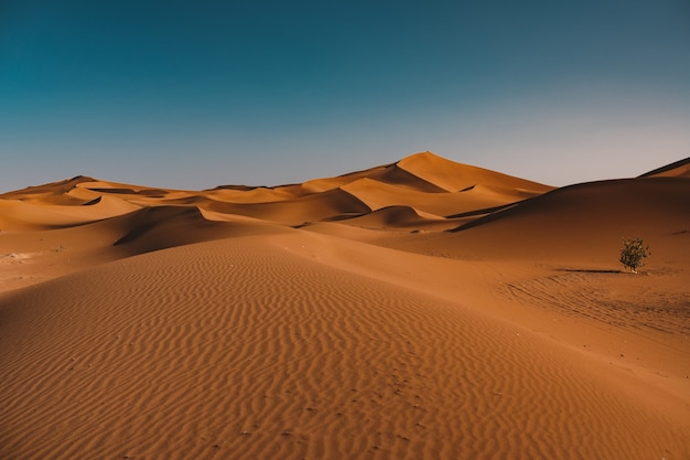 모로코에서 캡처 한 맑은 하늘 아래 고요한 사막의 아름다운 전망 무료 사진