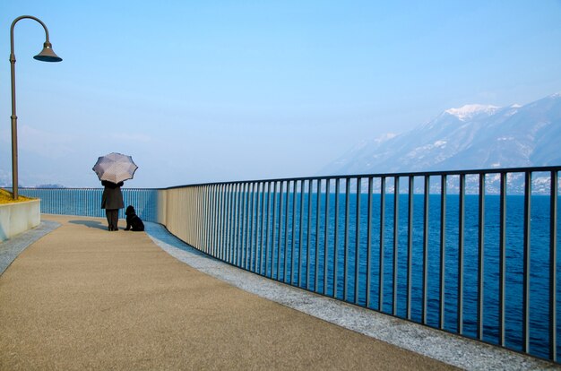 Beautiful view of a person with an umbrella and a dog standing on a pier by the ocean