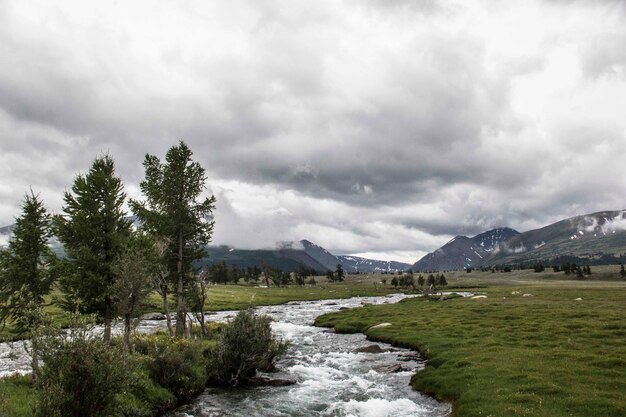 Beautiful view of a rocky stream of water in a grass terrain with trees and mountains