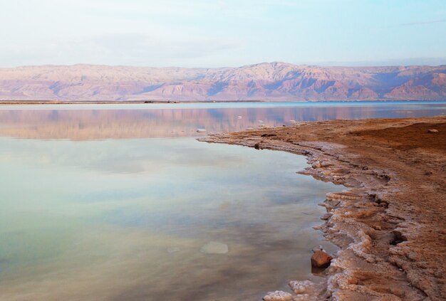 Download Free Dead Sea In Israel Premium Photo Use our free logo maker to create a logo and build your brand. Put your logo on business cards, promotional products, or your website for brand visibility.