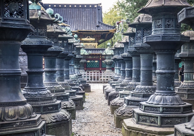 Free photo beautiful view of a shrine through black temple pillars in tokyo, japan