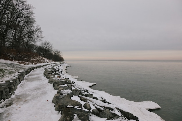 穏やかな湖の近くの海岸の雪と木々の美しい景色