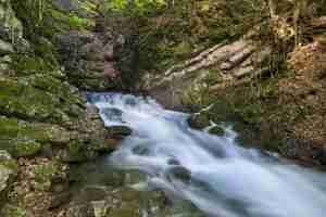 Free photo beautiful view of a stream flowing through the mossy rocks - perfect for wallpaper