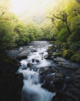 Beautiful view of a stream