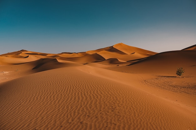 Beautiful view of tranquil desert under the clear sky captured in Morocco