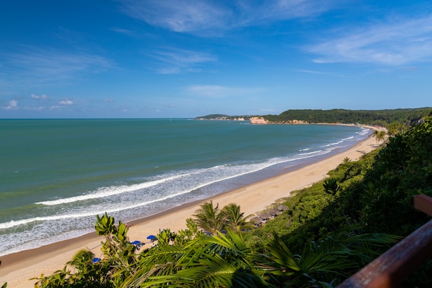 Beautiful view of the tree covered beach by the wavy ocean captured in Pipa, Brazil
