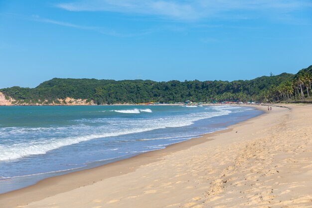 Прекрасный вид на покрытый деревом пляж волнистым океаном, захваченным в Пипа, Бразилия