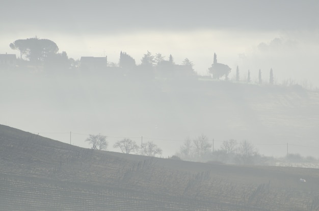 Beautiful view of the trees on the hill near the farms captured in the misty weather