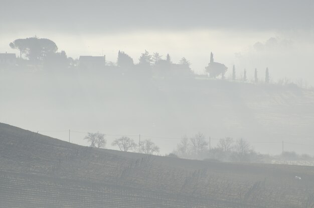 Beautiful view of the trees on the hill near the farms captured in the misty weather