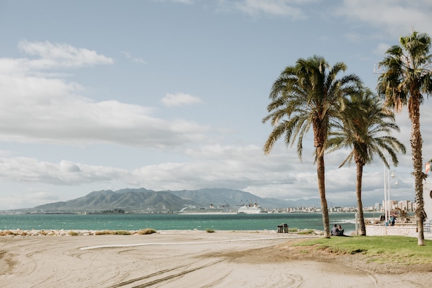 Foto gratuita bella vista di una spiaggia sabbiosa tropicale con palme