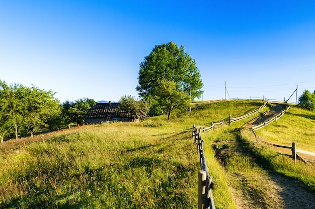 Free photo beautiful view of village in ukrainian carpathian mountains.