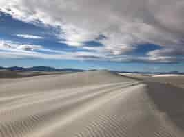 Free photo beautiful view of the wind-swept sand dunes in the desert in new mexico - perfect for background