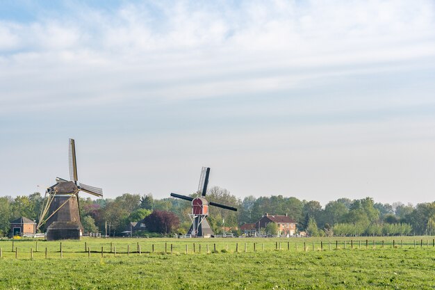 Beautiful view of windmills on a field with a cloudy blue sky in the background